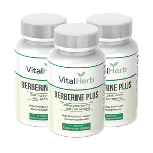 Berberine - x3 Bottles