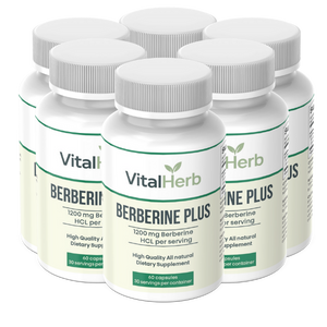 Berberine - x6 Bottles